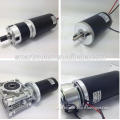 Electric off-Road Vehicle DC Motor, Wheelchair, E-Scooter, Golf Cart etc